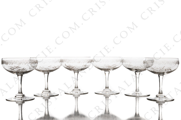 Six coupes à Champagne Mimosa par Baccarat