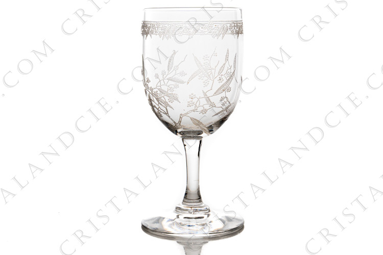 Verre à vin n°4 Mimosa par Baccarat