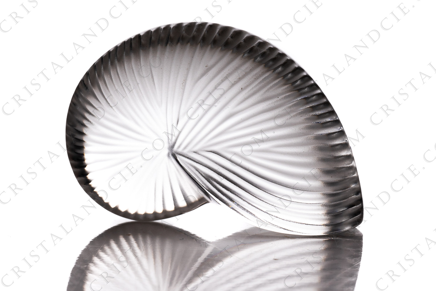 Coquillage en cristal clair de Baccarat modèle Némo photo-1