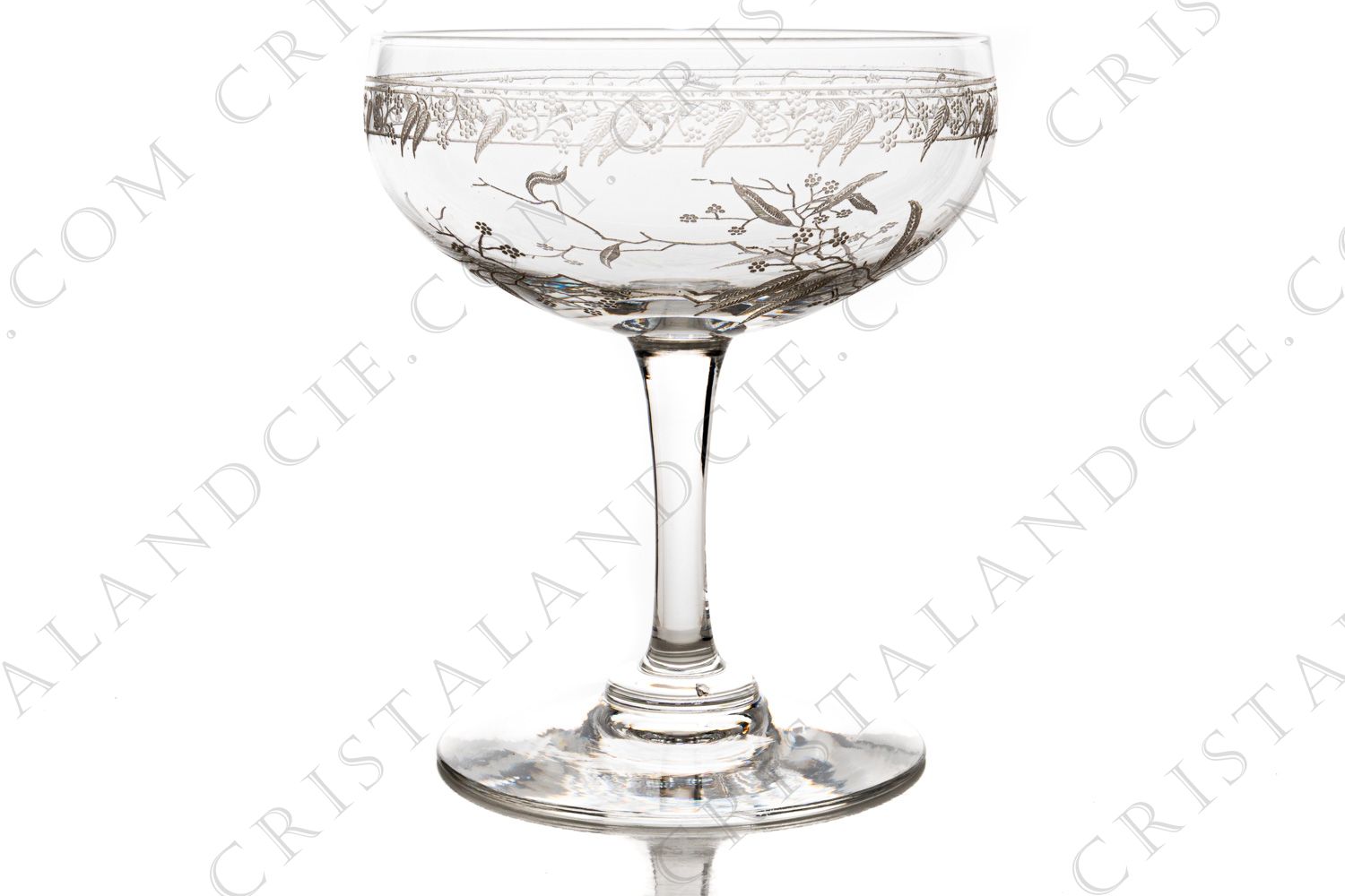Coupe à Champagne en cristal de Baccarat forme 4529 gravure Mimosa, orné de branches de mimosa et d une frise gravées photo-1