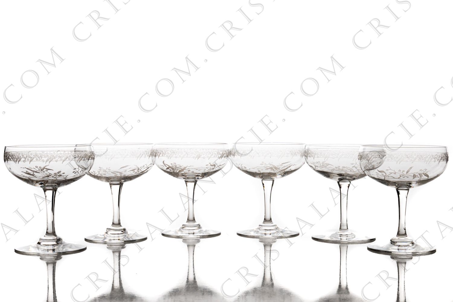 Série de six coupes à Champagne en cristal de Baccarat forme 4529 gravure Mimosa, orné de branches de mimosa et d une frise gravées photo-1
