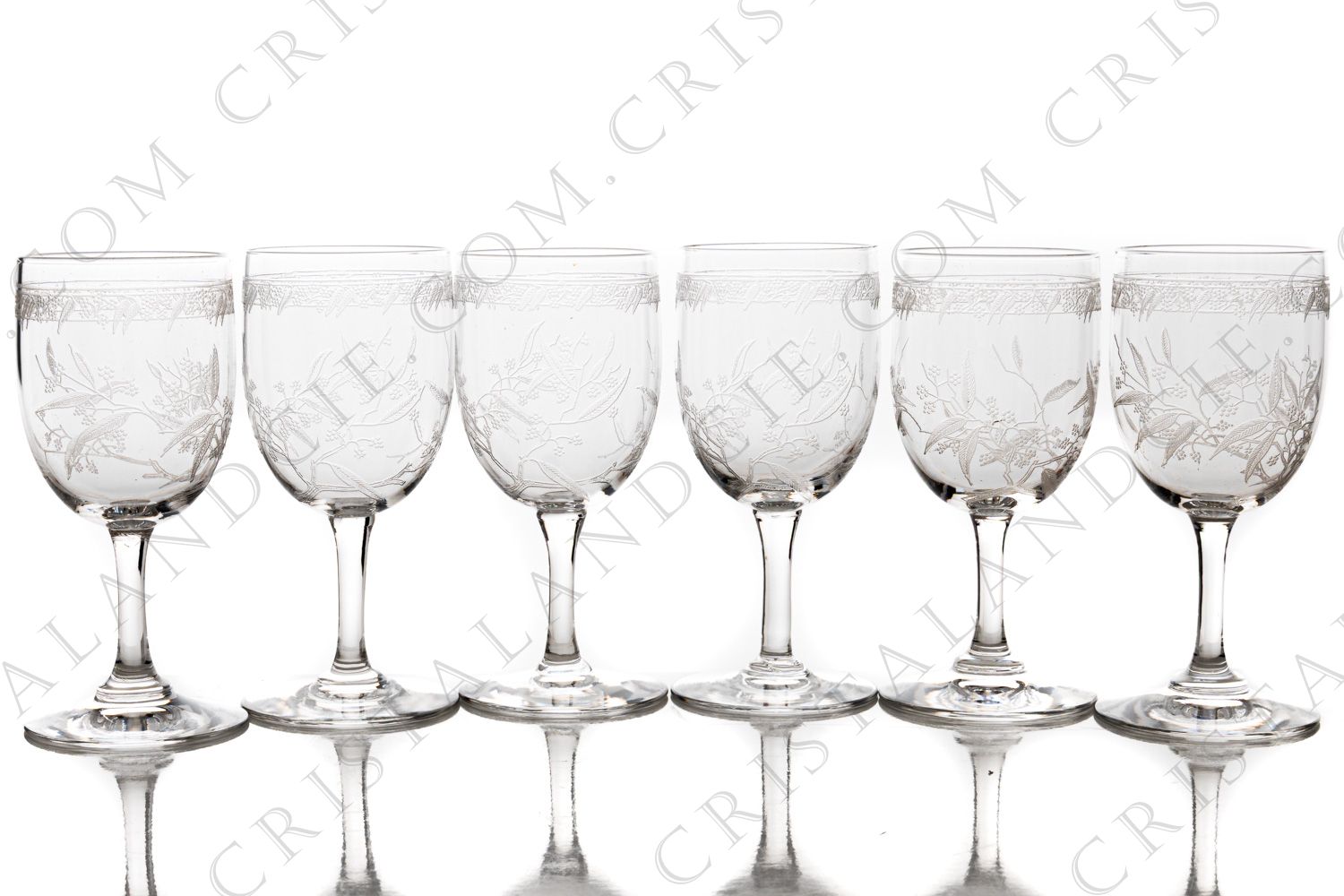 Série de six verres à Porto n°5 en cristal de Baccarat forme 4529 gravure Mimosa, orné de branches de mimosa et d une frise gravées photo-1