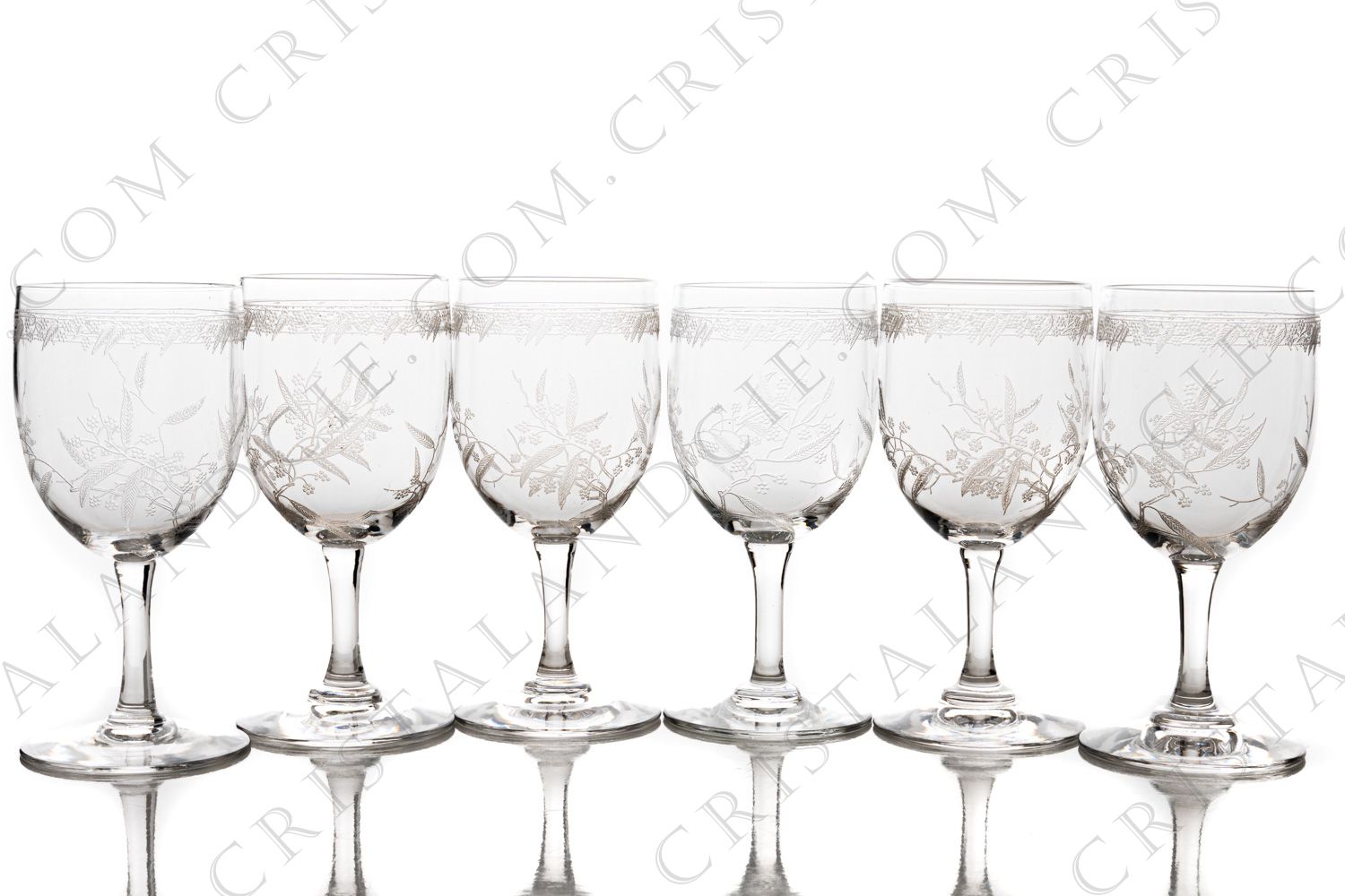 Série de six verres à vin blanc n°4 en cristal de Baccarat forme 4529 gravure Mimosa, orné de branches de mimosa et d une frise gravées photo-1