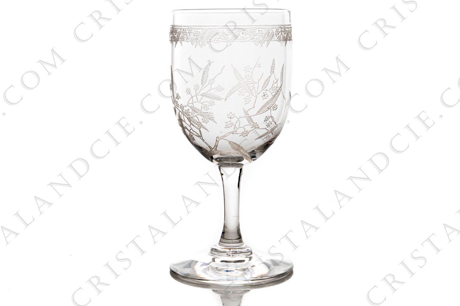 Verre à vin blanc n°4 en cristal de Baccarat forme 4529 gravure Mimosa, orné de branches de mimosa et d une frise gravées photo-1