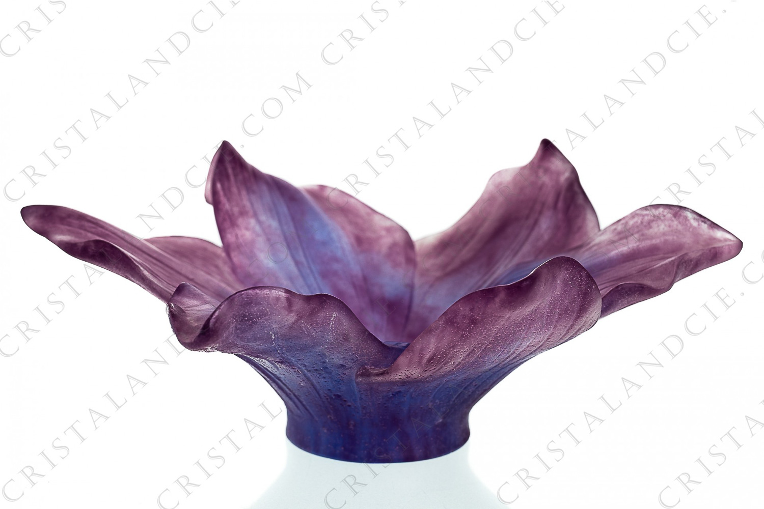 Vide poches en pâte de verre de Daum modèle Amaryllis mauve bleuté photo-1