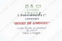 Coffee pot in Limoges china by Bernardaud pattern Roses de Limoges decorated with friezes of pink roses, with roses in medallion and gold friezes photo-14