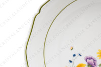 Round deep dish in Limoges china by Raynaud for Denby pattern English Garden decorated with polychromes flowers and bugs photo-3