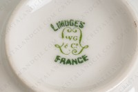 Tea cup in Limoges china by William Guerin and Cie decorated with a polychrome frieze of flowers and birds of paradise photo-9